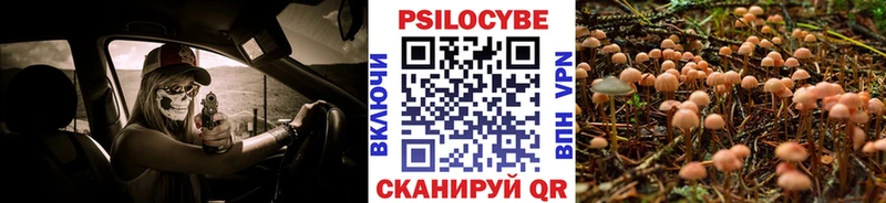 Псилоцибиновые грибы GOLDEN TEACHER  Буйнакск 